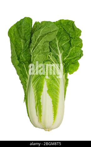 fresh chinese cabbage isolated on a white background with clipping path Stock Photo