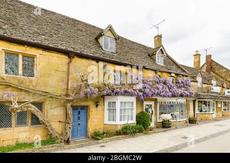 Roadside shops, local style, and wisteria in flower in High Street, Broadway, Worcestershire, a beautiful village in the Cotswolds, south-west England Stock Photo