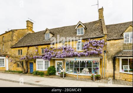 Roadside shops, local style, and wisteria in flower in High Street, Broadway, Worcestershire, a beautiful village in the Cotswolds, south-west England Stock Photo