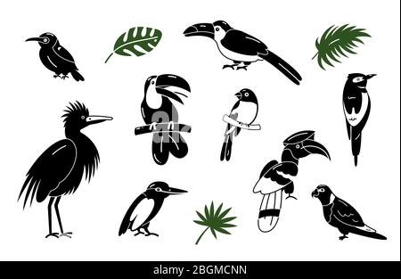 Set of birds. Bright exotic tropical birds. Macaw, Cockatoo, toucan, etc. Vector. Stock Vector