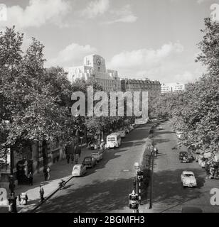 1950s, historical, a view along Victoria Embankment in Westminster, London, England, UK showing the vehicles of the era and in the distance Shell Mex house with its external clock. The tree-lined road lies beside the  north bank of the River Thames runs from the Palace of Westminster to Blackfriars Bridge in the city of London. Stock Photo