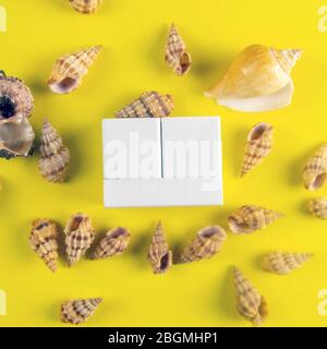 White wood cubes around the seashell isolated on a yellow background. It's lined up so you can fit in a quarter, month, and date. Front views Stock Photo