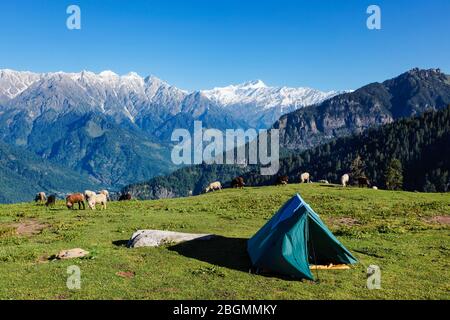 Camp in mountains. Kullu Valley, Himachal Pradesh, India Stock Photo