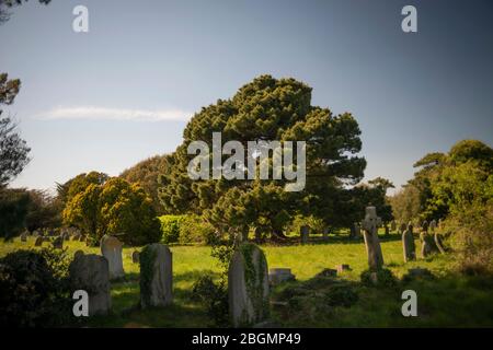 Broadwater Cemetery, Worthing, West Sussex, UK Stock Photo