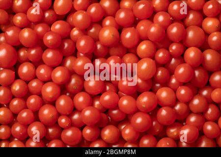 Fresh red Tomberry tomatoes close up full frame Stock Photo