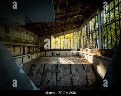 Abandoned empty swimming pool in school in Pripyat near Chernobyl, Ukraine. The surrounding of the gym is overgrown with trees and bushes. Stock Photo