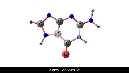 Guanine is one of the four main nucleobases found in the nucleic acids DNA and RNA. 3d illustration Stock Photo