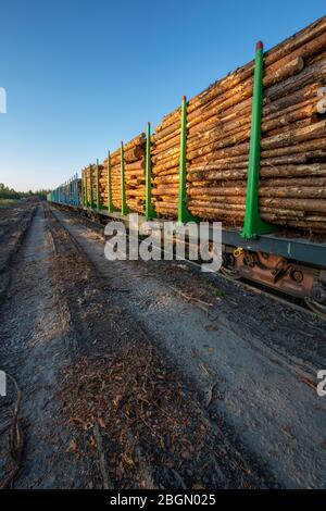 Cargo Timber Train Open Train Carriage With A Bundle Of Timber For cargo-timber-train-open-train-carriage-with-a-bundle-of-timber-for