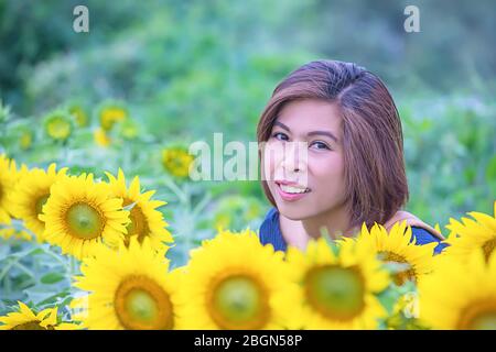 Woman in Yellow Marigold flowers garden or Tagetes erecta in garden Stock Photo