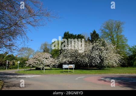 Silverstone Village, Northamptonshire, England Stock Photo - Alamy