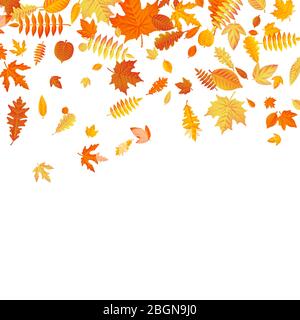 Orange and yellow falling autumn leaves template. EPS 10 Stock Vector