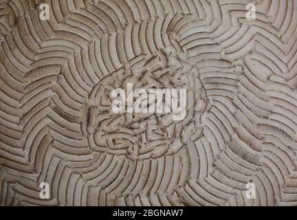 Perfect wood planks background with nice studio lighting and beautiful vignetting to draw the eyes into the picture Stock Photo