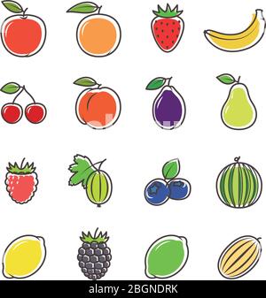 Fruit outline icons and berries line and color signs. Vector illustration Stock Vector