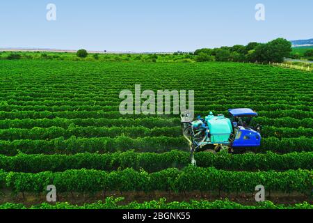Tractor spraying vines over vineyard in Europe. Stock Photo