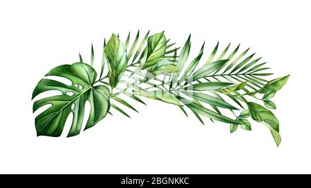 Watercolor arch of tropical leaves. Jungle greenery in horizontal arrangement. Exotic palm branches, monstera, isolated on white. Botanical hand drawn Stock Photo