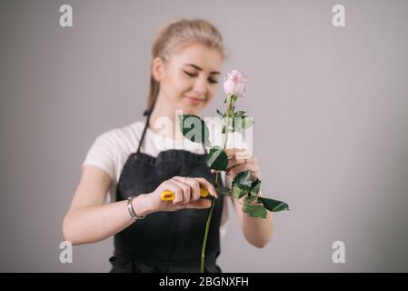 Portrait of lovely young woman florist wearing apron cutting fresh pink rose. Stock Photo