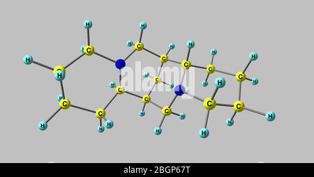 Sparteine is a class 1a antiarrhythmic agent, a sodium channel blocker. It is an alkaloid and can be extracted from scotch broom. 3d illustration Stock Photo