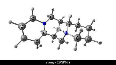 Sparteine is a class 1a antiarrhythmic agent, a sodium channel blocker. It is an alkaloid and can be extracted from scotch broom. 3d illustration Stock Photo