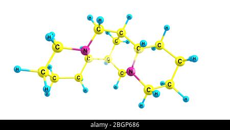 Sparteine is a class 1a antiarrhythmic agent, a sodium channel blocker. It is an alkaloid and can be extracted from scotch broom. 3d illustration Stock Photo