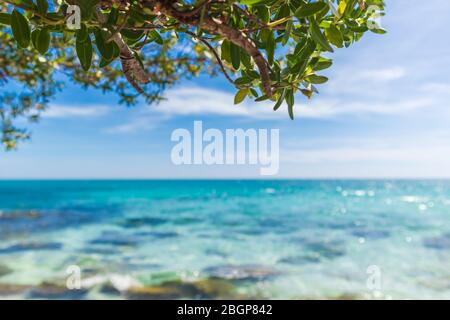 Beautiful turquoise sea and bright blue sky focus on foreground, samed island, thailand Stock Photo