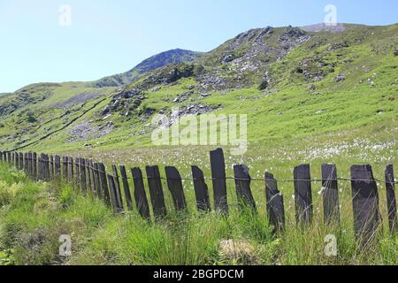 Natural Slate Fencing Along the Nant Ffrancon Valley, Snowdonia, Wales Stock Photo
