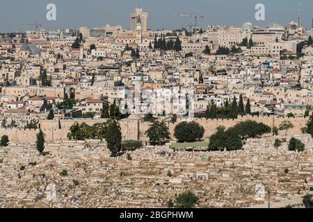 Israel, Jerusalem, Mount of Olives, The Muslim cemetery outside the city walls with the Muslim Quarter in the Old City of Jerusalem as viewed from the Mount of Olives. At upper left is the Christian Quarter. The Old City of Jerusalem and its Walls is a UNESCO World Heritage Site. At upper left are the two gray domes of the Church of the Holy Sepulchre. with the tall bell tower of the monastery and Church of Saint Saviour's in the center in the Christian Quarter. Stock Photo