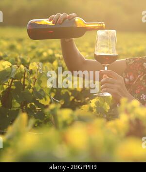 Glass and bottle of red wine in selective focus on glass of wine. pouring red wine at sunset Stock Photo