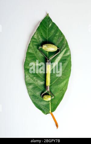 Facial greenstone roller on big green plant leaf on white paper background. Health and beauty concept. Stock Photo