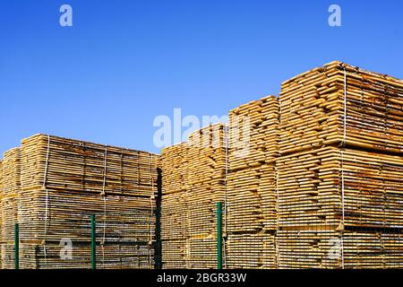 large stacks of wooden planks at the sawmill yard on the blue sky background Stock Photo