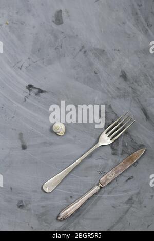 Snail, Fork and Knife on Grey Concrete Background. Copy space. Stock Photo
