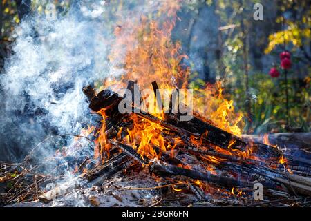 Big bonfire made of boards. Beautiful fire. Stock Photo