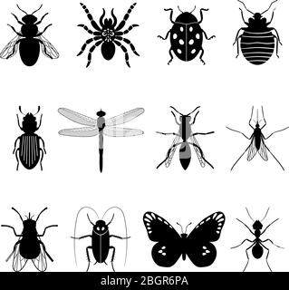 Insects icons. Insect vector silhouettes on white background Stock Vector
