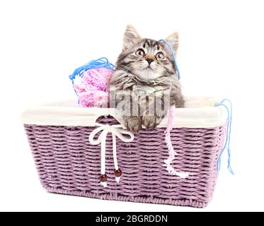 Funny gray kitten and balls of thread in wicker basket, isolated on white Stock Photo
