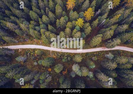 Scenic aerial view of a winding trekking path in a forest. Trekking path in the forest from above, drone view. Aerial top view of a trail in the middl Stock Photo