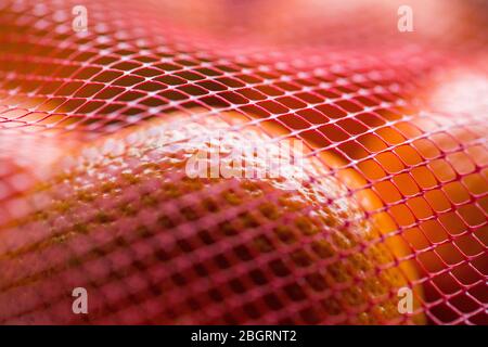 Macro shot of oranges in a plastic net bag Stock Photo
