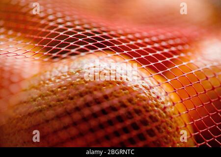 Macro shot of oranges in a plastic net bag Stock Photo