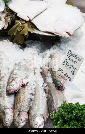 Fresh Rainbow Trout, Oncorhynchus mykiss, on sale at St Helier Fish Market in Jersey, Channel Isles Stock Photo