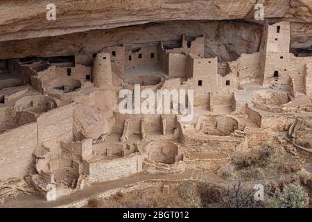 CO00224-00...COLORADO - Cliff dwellings of the Ancestral Pueblo People called Cliff Palace in Cliff Canyon, Mesa Verde National Park. Stock Photo