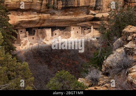 CO00231-00...COLORADO - Spring snow storm at cliff dwellings of the Ancestral Pueblo People called Spruce Tree House in  Mesa Verde National Park. Stock Photo