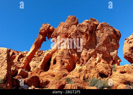 NV00211-00...Nevada - Elephant Rock in Valley Fire State Park. Stock Photo