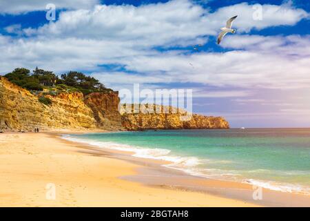 Praia de Porto de Mos with seagulls flying over the beach, Lagos, Portugal. Praia do Porto de Mos, long beach in Lagos, Algarve region, Portugal. Stock Photo