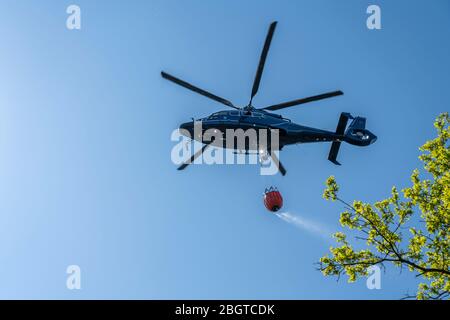 Forest fire in the German-Dutch border region near NiederkrŸchten-Elmpt, in a nature reserve, deployment of fire-fighting helicopters, Eurocopter EC 1 Stock Photo