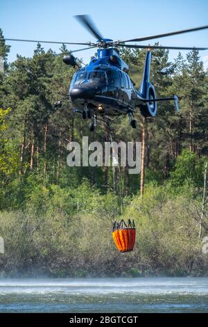 Forest fire in the German-Dutch border region near NiederkrŸchten-Elmpt, in a nature reserve, deployment of fire-fighting helicopters, Eurocopter EC 1 Stock Photo