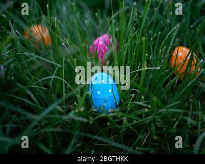 Easter eggs scattered in green grass Stock Photo