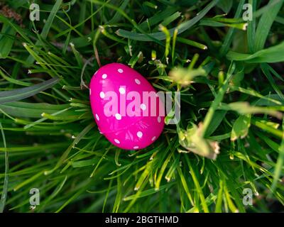 Lone pink polka dotted Easter egg in grass on a sunny day Stock Photo