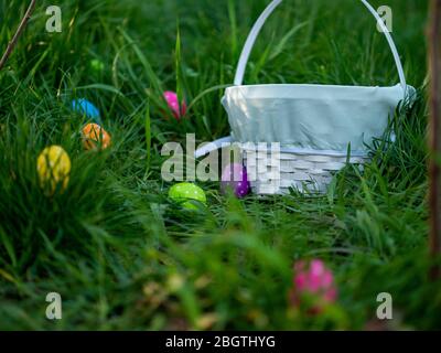 Multiple polka dotted Easter eggs surrounding a basket in the grass at sunset Stock Photo