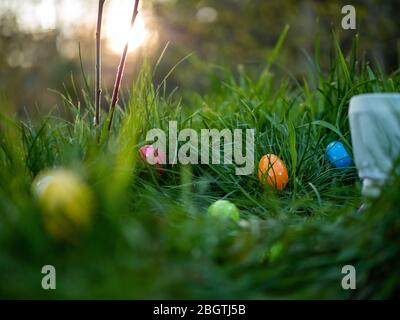 Easter eggs scattered in the grass in the evening Stock Photo