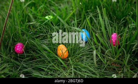 Multi colored Easter eggs scattered around in the grass Stock Photo