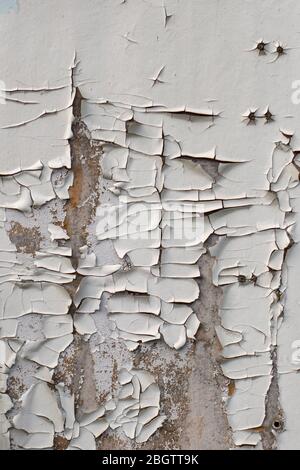 Old white heavily cracked paint on a wooden surface. Creative vintage background. Stock Photo