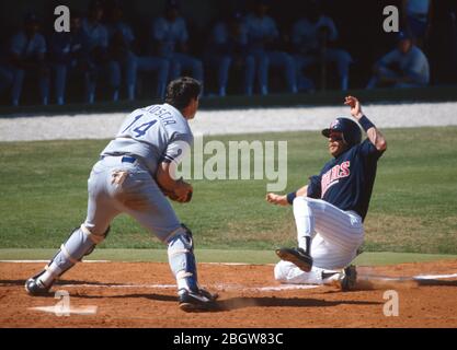 Minnesota Twins Dan Gladden, right, slides into home plate as Los Angeles Dodgers catcher Mike Scioscia tags him at the baseball at the spring training facility in Orlando,  Florida on March 11, 1989. Photo by Francis Specker Stock Photo